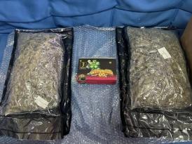 Aduanas retiene presunta sustancia ilícita y dispositivos de THC en carga Courier