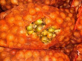 Aduanas retiene cargamento de cebolla en Chiriquí