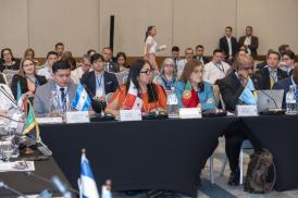Aduanas participa de cumbre contra el comercio ilícito  