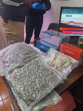 Retienen caja con presunta marihuana
