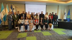  Equipo panameño participa en taller regional sobre Declaración Anticipada