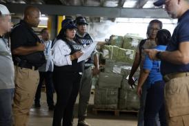 Operación Khaleesi: golpe histórico contra el comercio ilícito