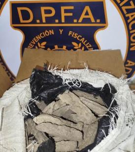 Aduanas retiene pepinos de mar disecados