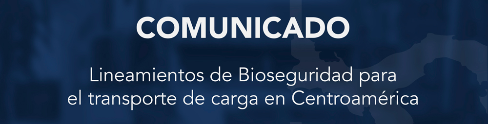 lineamientos de bioseguridad 1