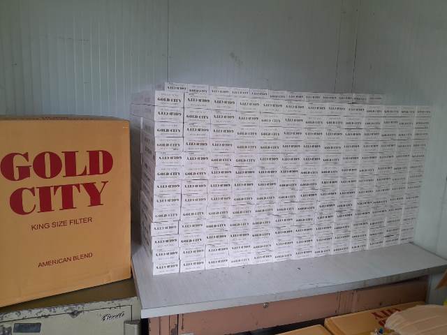gold city noticia