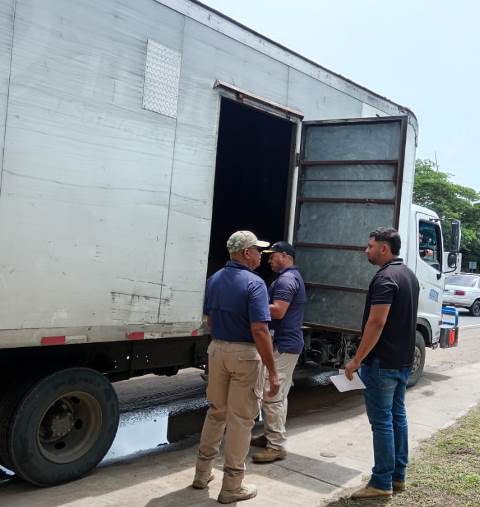 operativo divisa