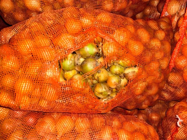 cebolla saco