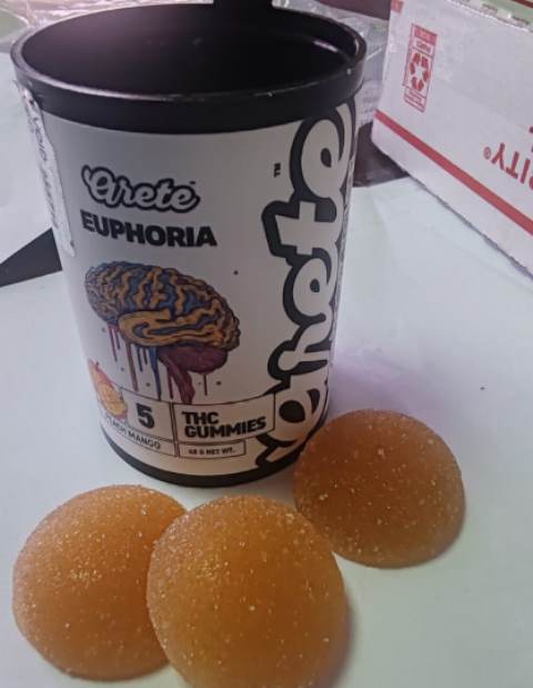 euphoria foto
