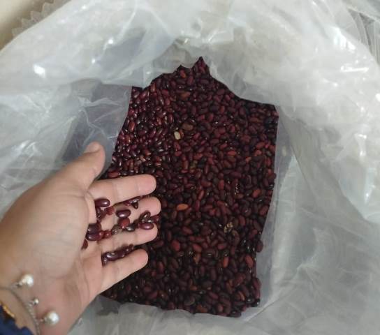 frijoles de contrabando