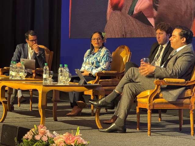 panelista en congreso