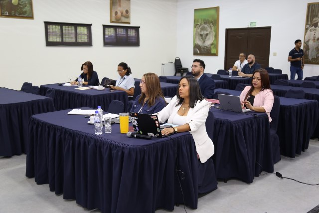 corredores de aduanas