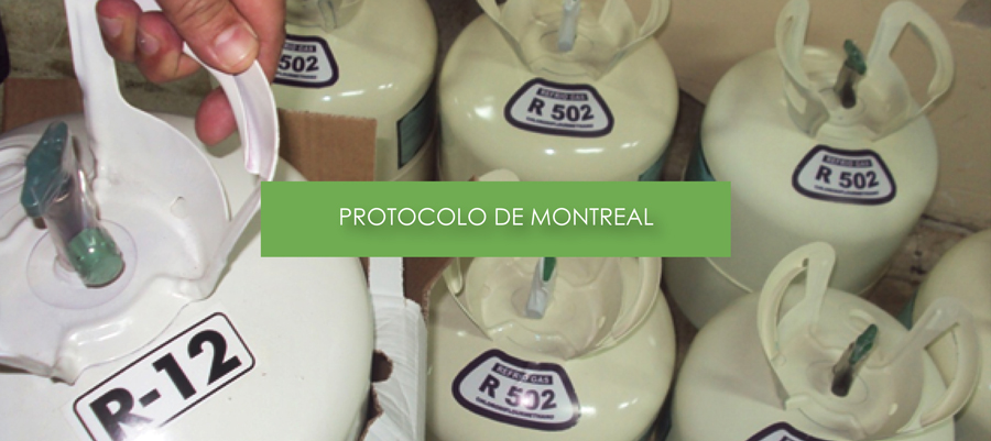 3 Protocolo De Montreal