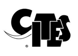 Cites